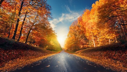 Obraz premium Camino en un bosque otoñal con hojas en el camino