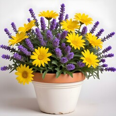 A weathered terracotta flower pot filled with vibrant purple lavender and cheerful yellow daisies, positioned on a bright white background with soft shadows.