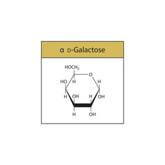 α-D-Galactose skeletal structure diagram.Sugar compound molecule scientific illustration.