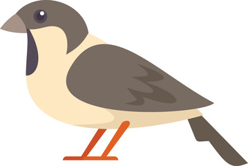 Simple cartoon style illustration of a small brown and beige bird standing in profile