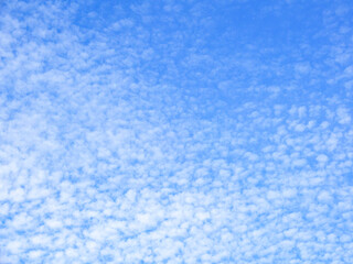 Obraz premium 秋の空のうろこ雲