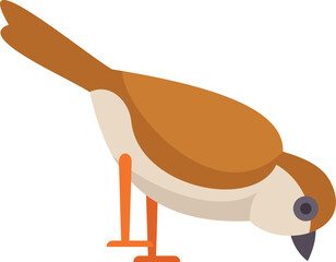 This vector illustration features a sparrow bird pecking the ground, likely in search of food