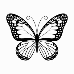 Butterfly silhouette vector illustrations on a white background