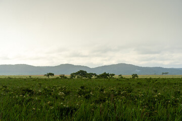 Kiritappu wetland in Hokkaido, Japan