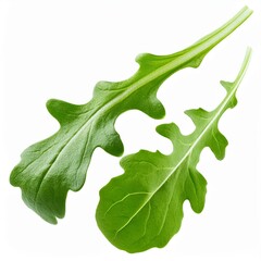levitated arugula, isolated on white background