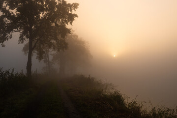 Fototapeta premium Jesienny mglisty poranek, tapeta.
