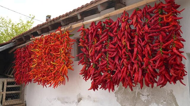 Drying chillies hanging on the wall.