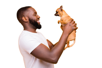 Profile photo of dark skin guy talking to lovely little pet wear casual outfit isolated yellow background