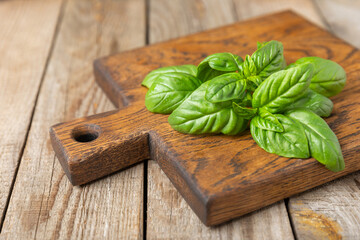 Green basil leaves on a textured wooden background. Kitchen herbs, spices. Fresh green organic basil. Vegan. Greens for salad. Place for text. Copy space.