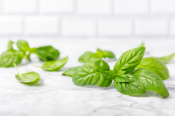 Green basil leaves on a textured wooden background. Kitchen herbs, spices. Fresh green organic...