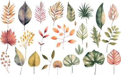 Fototapeta premium autumn leaves collection