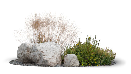 Composition of green plants and blooming ornamental grass and rocks isolated on white background