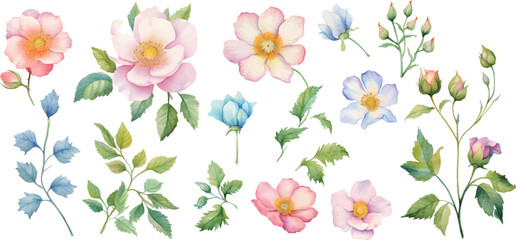 Fototapeta premium spring flowers background