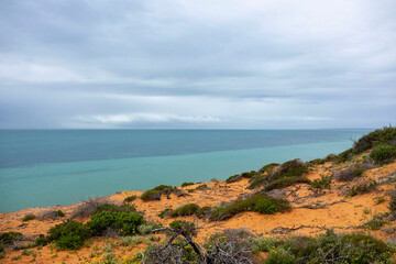 Francois Peron National Park, Western Australia where the red sand meets the white sand that meets the deep blue ocean. Full of bird life and marine life.