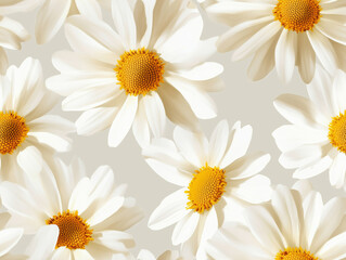 Fototapeta premium Bright white daisies with vibrant yellow centers are arranged in minimalist pattern, creating fresh and cheerful floral design. soft background enhances flowers beauty