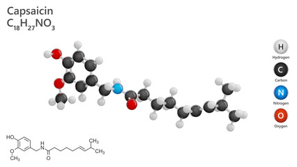 Molecule: Capsaicin. Analgesic. Chili peppers. Molecular structure. Formula: C18H27NO3. Chemical model: Ball and stick. White background. 3D illustration.