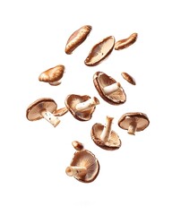 Obraz premium Fresh Brown Mushrooms Falling in Air Isolated on White Background
