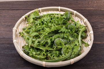 ザルの上のコゴミ