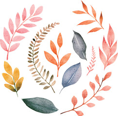autumn leaves on white