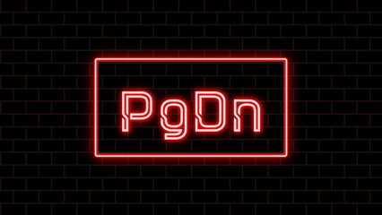 PgDn key のネオン文字