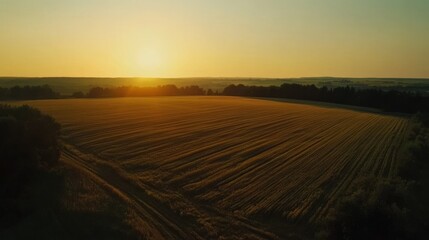 Obraz premium Aerial view of golden farmland at sunset, capturing expansive agricultural fields in a serene landscape with rolling hills and rural charm, highlighting patterns of crop rows and sunlit fields from a 