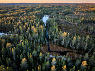 Fototapeta premium Small lake in the forest