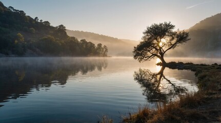 Obraz premium A sculptural tree on the bank of a still narrow reflective lake in a deep misty gorge at sunrise