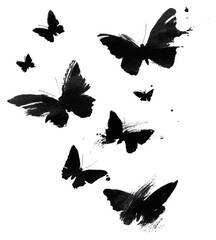Fototapeta premium PNG Butterflies flying black white ink.