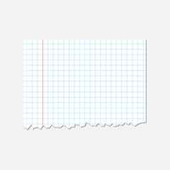 Paper note, sticker, notebook, reminder, message, torn sheet of paper.