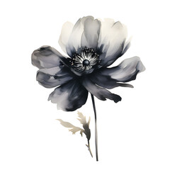 Black Flower Watercolor Illustration on Transparent Background, Hand-Painted Black Floral Watercolor Art Isolated on Transparent, Minimalist Black Flower Watercolor Design for Modern Art Projects.