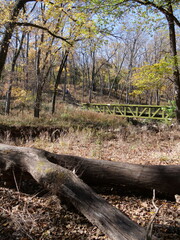 Obraz premium Beautiful Fall Scenes at Ernie Miller Olathe KS