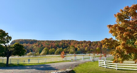 The Niagara Escarpment on a colourful fall day