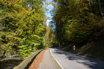Obraz premium Scenic diversity of Mullerthal, Luxembourg's Little Switzerland, Schiessentumpel Cascade hiking routes, rock formations, forests, tourist destination in Europe