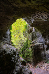 Obraz premium Scenic diversity of Mullerthal, Luxembourg's Little Switzerland, hiking routes, rock formations, moss-covered forests, tourist destination in Europe