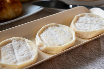 Rocamadour or cabecous soft goat AOC cheese with soft rind produced on farm in Perigord and Quercy on farmers market, departement Lot, France