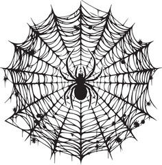 Obraz premium spider and web