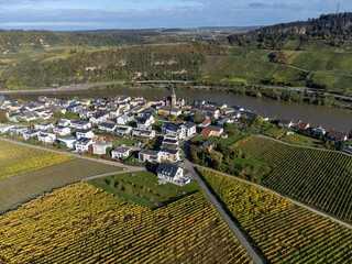 Aerial view of terraced vineyards around Nittel, Rhineland-Palatinate, Germany and views across Moselle River on vineyard hills of Machtum, Luxembourg