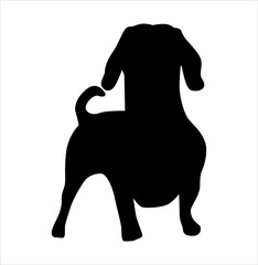 The silhouette of a dachshund dog standing on a white background