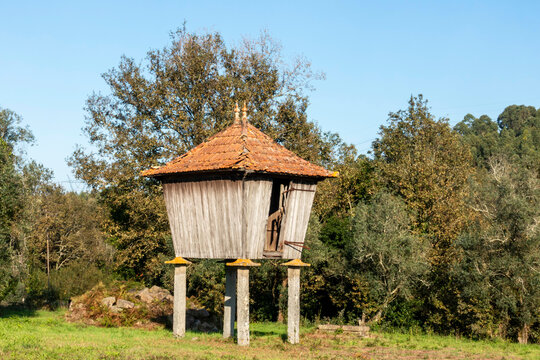 Construction intended to store, aerate and protect corn. In this area of ​​Portugal it is called canastro. Santa Maria da Feira, Aveiro, Portugal.