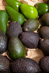 bright and dark green avocados in box on grocery shop shelf or local farming market. Pile of ripe fresh whole avocado fruit