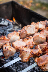 Barbecue skewers meat kebabs on a flaming grill