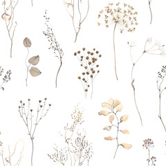 Delicate seamless pattern with floral design elements, isolated watercolor illustration of abstract wild dried plants for textile, wallpapers or garden background.