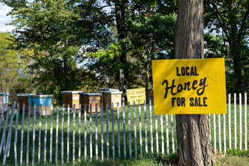 A vibrant yellow sign announces local honey for sale next to beehives nestled in a scenic rural setting filled with trees and grass.