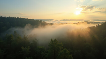 Obraz premium Sunrise over foggy forest with rolling hills.