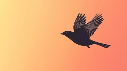 Bird silhouette on vibrant gradient background