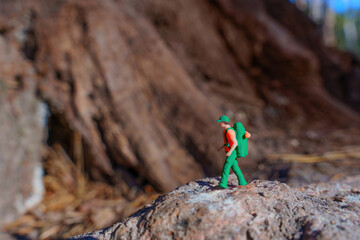 Miniature Hiker on Rock in Natural Setting