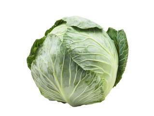 Fototapeta premium Fresh Green Cabbage Isolated