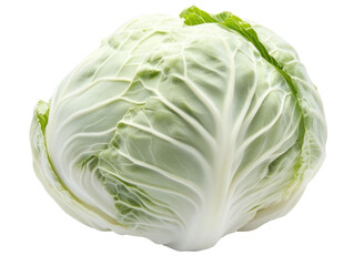 Fototapeta premium Fresh Green Cabbage Isolated