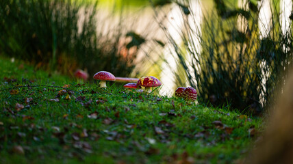The Beauty of Autumn © Piotr