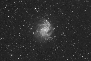NGC 6946 galaxy in the Cepheus constellation, taken with amateur telescope.